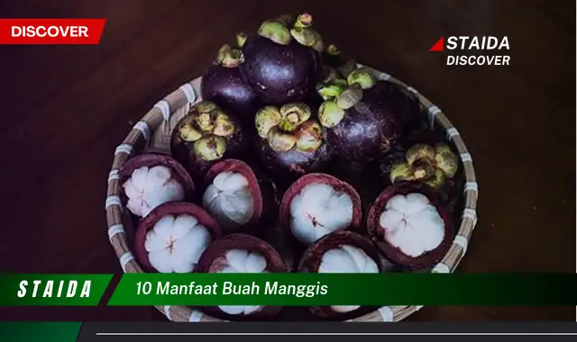 10 manfaat buah manggis