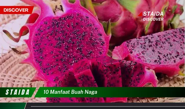 10 manfaat buah naga