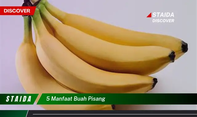 5 manfaat buah pisang