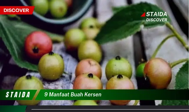 9 manfaat buah kersen