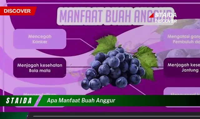 apa manfaat buah anggur