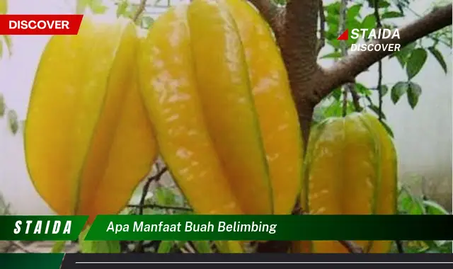 apa manfaat buah belimbing