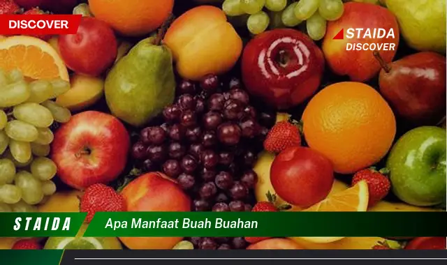 apa manfaat buah buahan