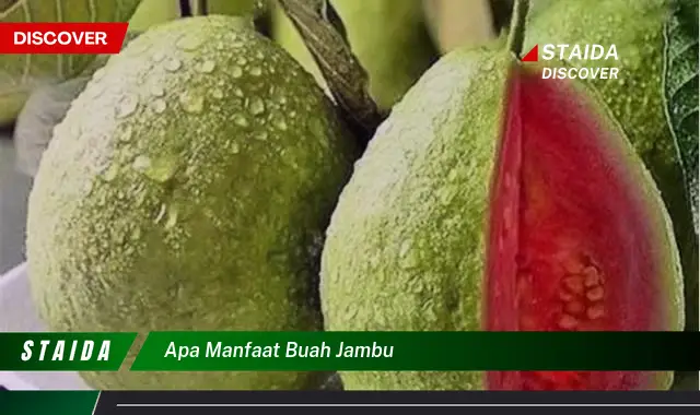 apa manfaat buah jambu