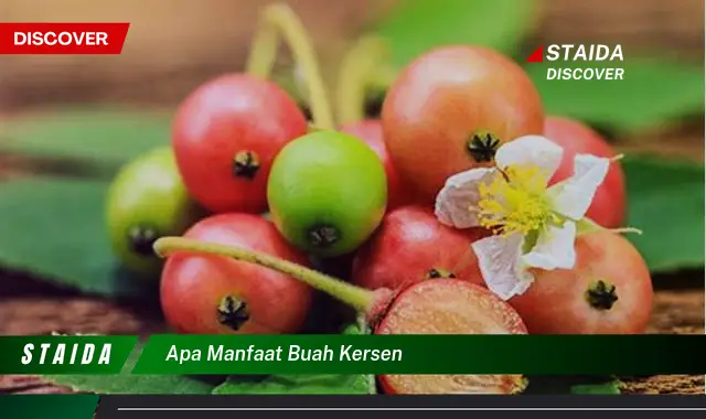 apa manfaat buah kersen