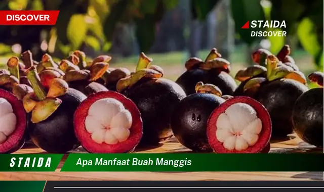 apa manfaat buah manggis