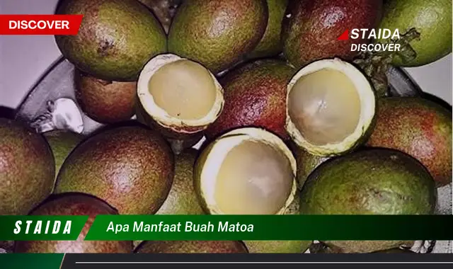 apa manfaat buah matoa