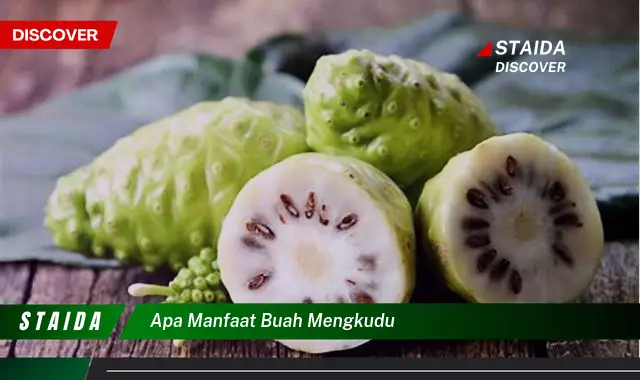 apa manfaat buah mengkudu