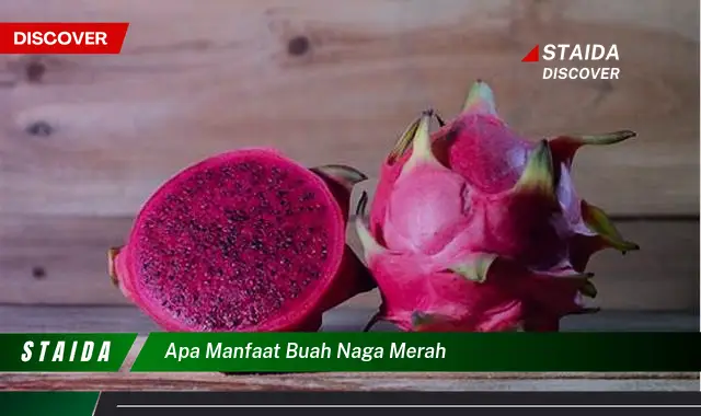 apa manfaat buah naga merah