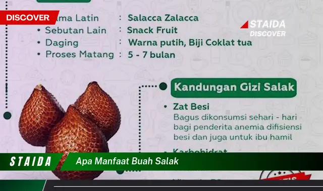 apa manfaat buah salak