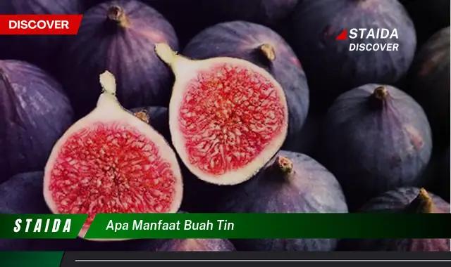 apa manfaat buah tin