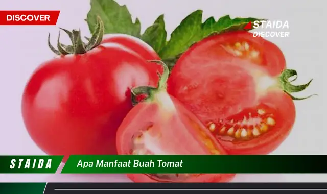 apa manfaat buah tomat