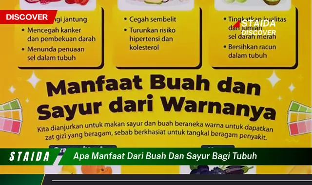 apa manfaat dari buah dan sayur bagi tubuh