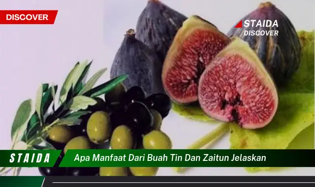 apa manfaat dari buah tin dan zaitun jelaskan