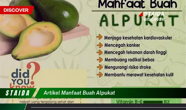 artikel manfaat buah alpukat