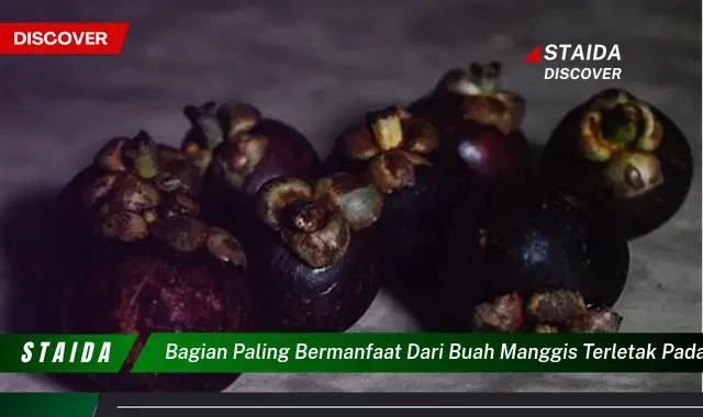 bagian paling bermanfaat dari buah manggis terletak pada