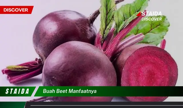 buah beet manfaatnya