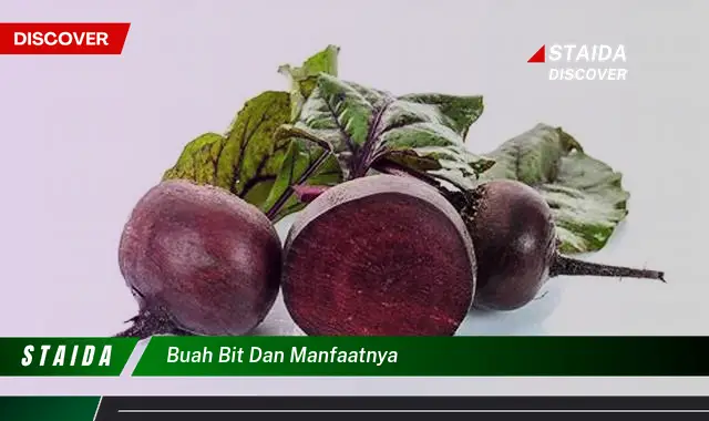 buah bit dan manfaatnya