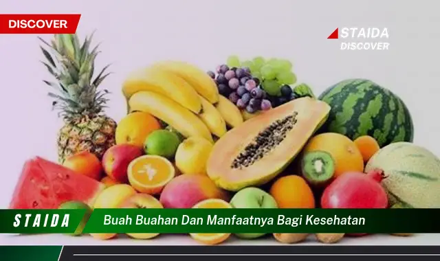 buah buahan dan manfaatnya bagi kesehatan