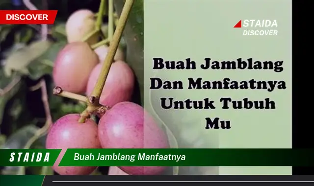 buah jamblang manfaatnya