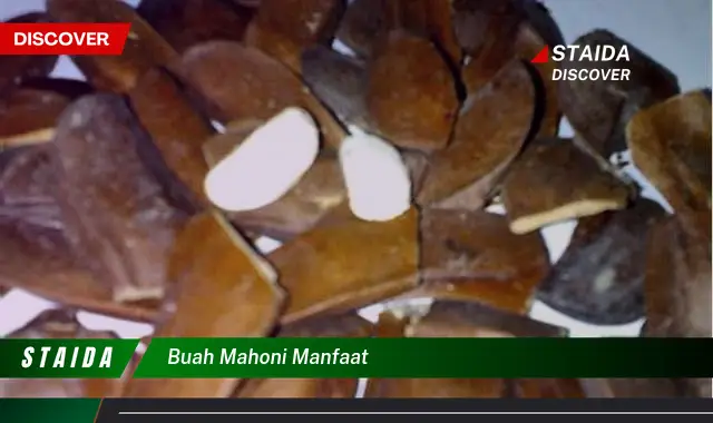 buah mahoni manfaat