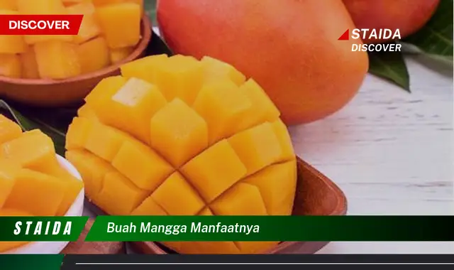 buah mangga manfaatnya