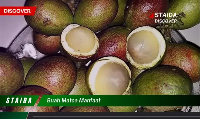 buah matoa manfaat