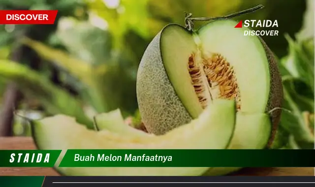 buah melon manfaatnya