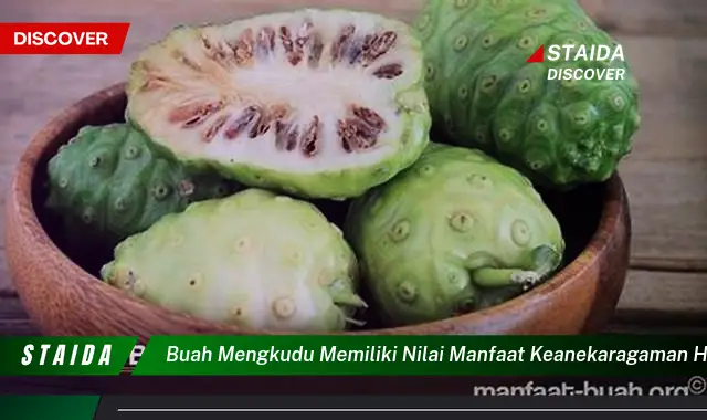 buah mengkudu memiliki nilai manfaat keanekaragaman hayati berupa sumber