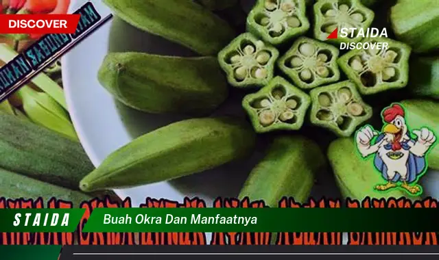 buah okra dan manfaatnya