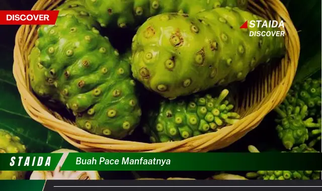 buah pace manfaatnya