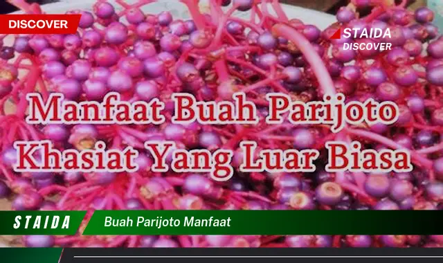 buah parijoto manfaat