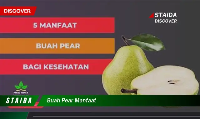 buah pear manfaat