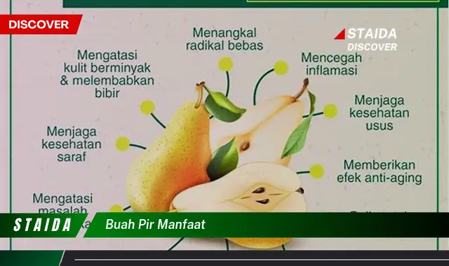 buah pir manfaat