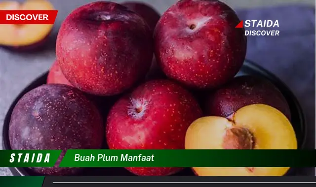 buah plum manfaat