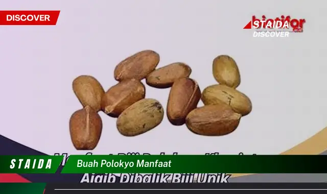 buah polokyo manfaat