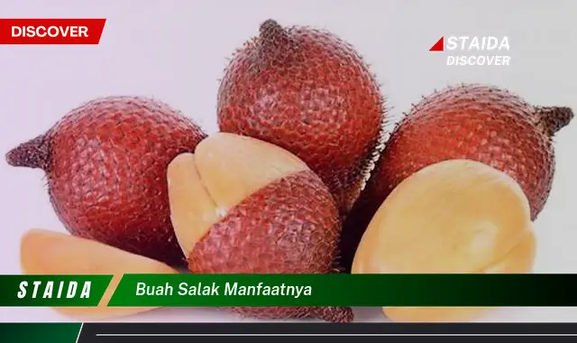 buah salak manfaatnya