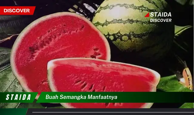 buah semangka manfaatnya