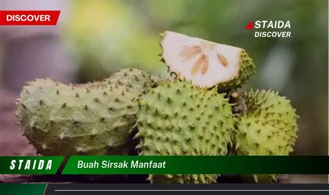 buah sirsak manfaat