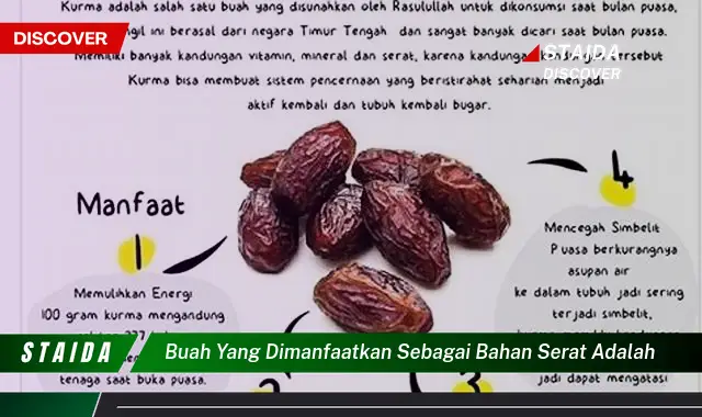 buah yang dimanfaatkan sebagai bahan serat adalah