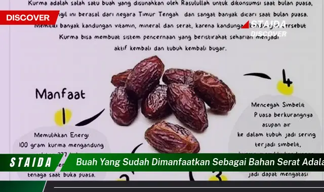 buah yang sudah dimanfaatkan sebagai bahan serat adalah