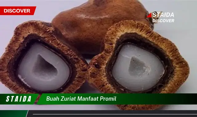 buah zuriat manfaat promil