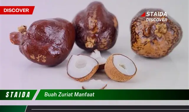 buah zuriat manfaat