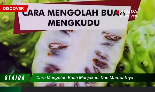 cara mengolah buah manjakani dan manfaatnya