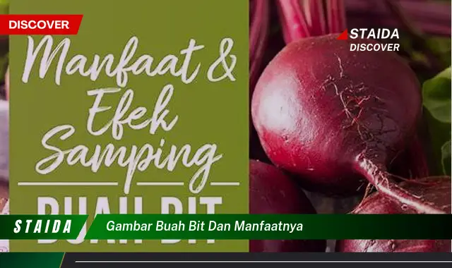 gambar buah bit dan manfaatnya