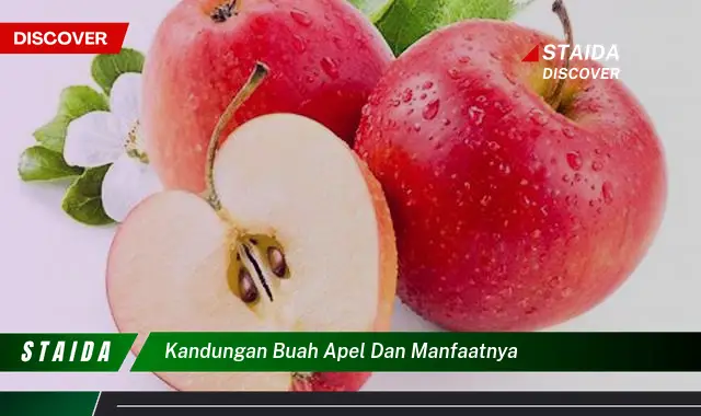 kandungan buah apel dan manfaatnya