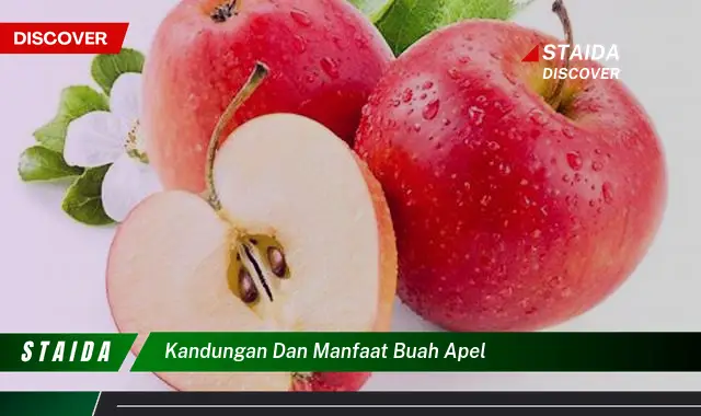 kandungan dan manfaat buah apel