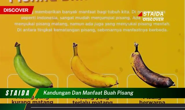 kandungan dan manfaat buah pisang