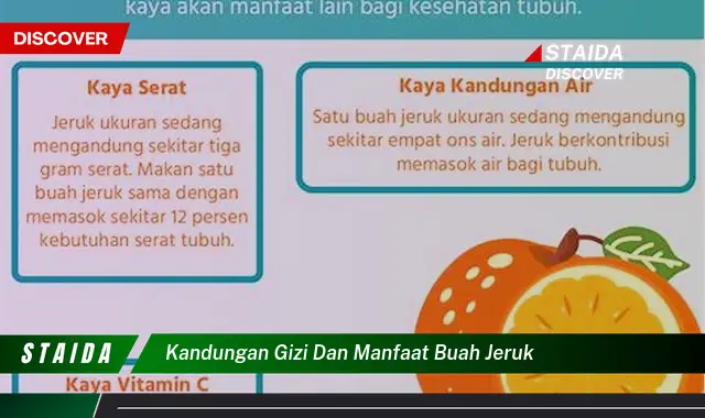 kandungan gizi dan manfaat buah jeruk