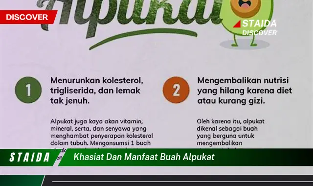 khasiat dan manfaat buah alpukat